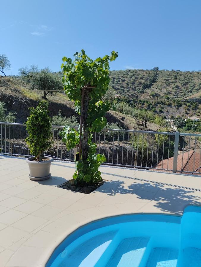 Villa Las Vinas Málaga Kültér fotó